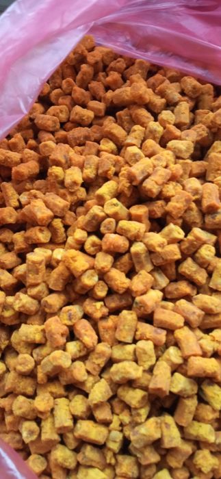 Перга бджолина з