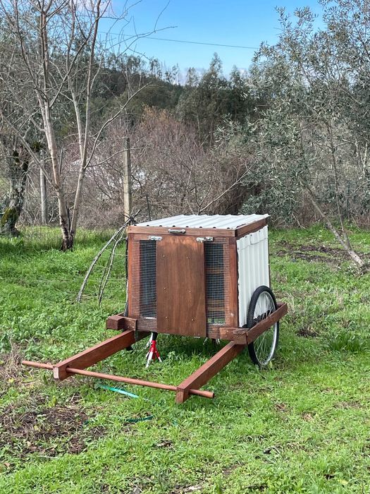 galinheiro móvel para galinhas criadas em pastagem