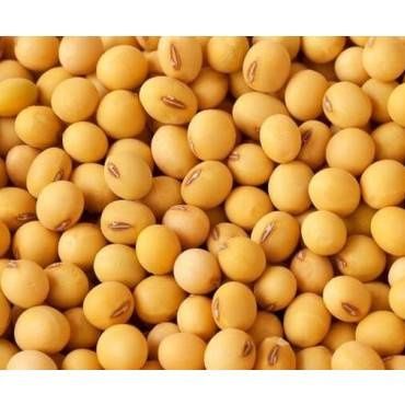 Соя чиста віяна на насіння.