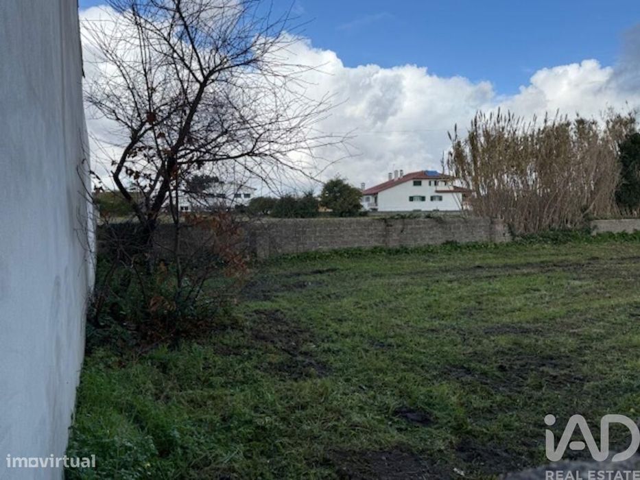 Terreno em Monte Real e Carvide