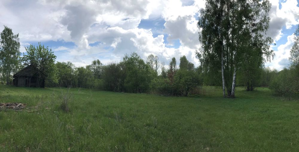 Дом с газом и печью! 25соток(1 га), с. Неданчичи (возле Славутича)