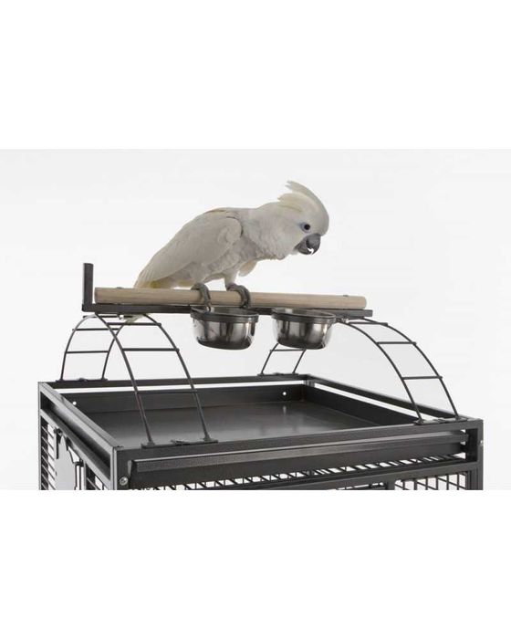 Gaiola Papagaios Finca I