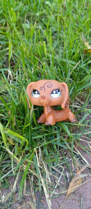 Lps jamnik roza unikat