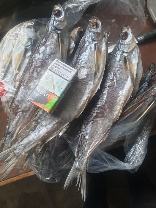 Тарань сушена повна ікри. Лящь плотва судак