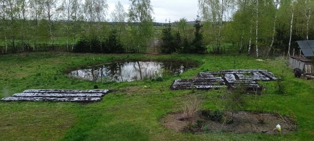 Duża działka blisko jezior | 35 km od Gdańska | 160 zł/m² | WZ + media + ogród, sad + zagajnik - Widok 5