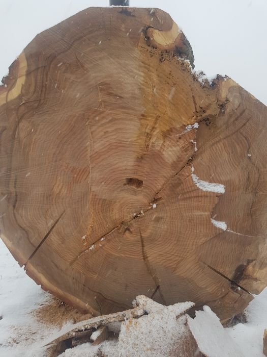 Продам дуба, комлеву частину, ціна вказана за цілий кусок, не за куб