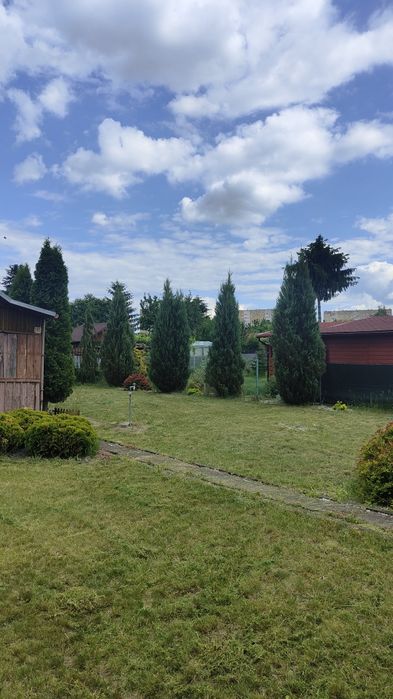 Działka rekreacyjna Pułanki Relaks - Widok 2