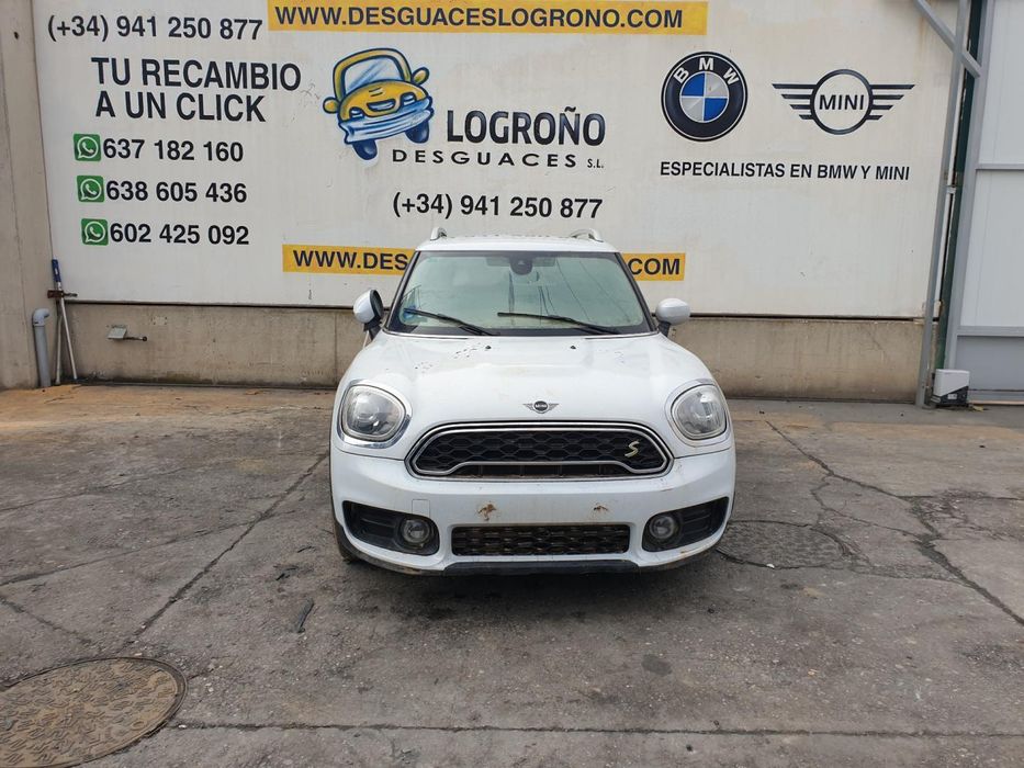 Grelha Da Frente Mini Countryman F60