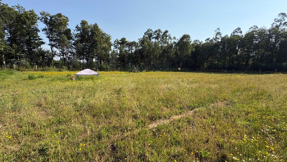 Terreno Rustico em Sandiães