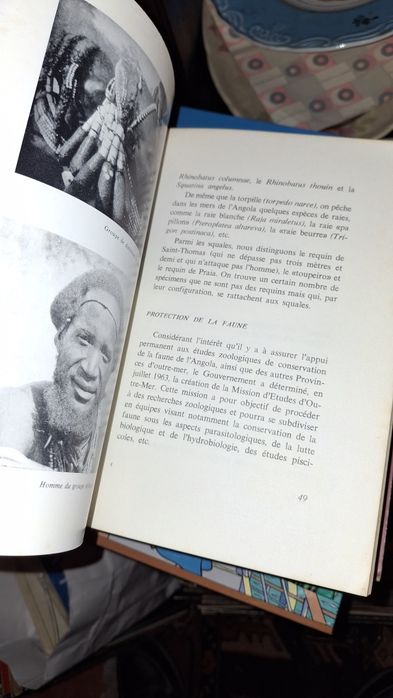 Angola monografia Norberto Gonzaga 1968 colonias ultramar