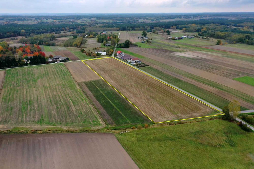 Działka pod dom 3000m2 - Janina gm. Busko-Zdrój