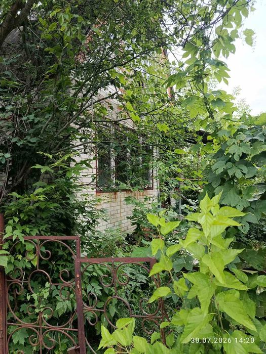 Продаж дачного будинку в Красносельскому кооперативі.