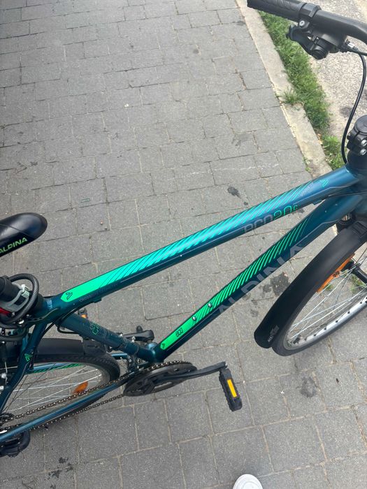 Rower Męski Alpina Eco