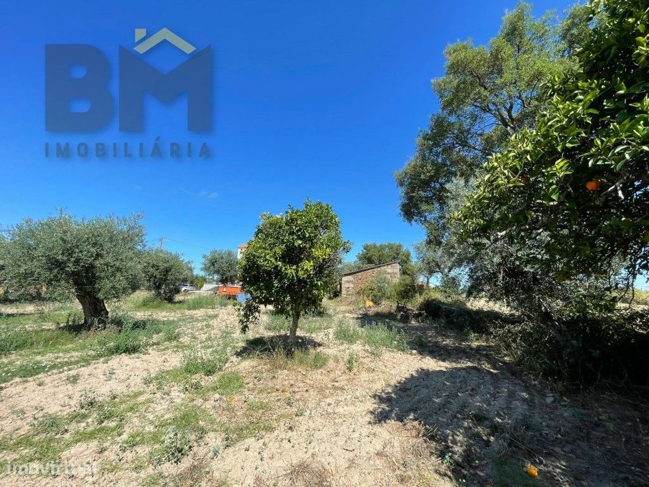 Terreno de 4000m² à Venda em Freixial do Campo