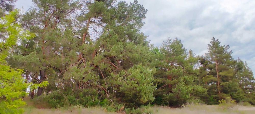 Продам ділянку на дамбі Київського водосховища