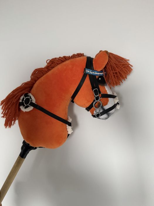 Hobby horse z piekną odmianką