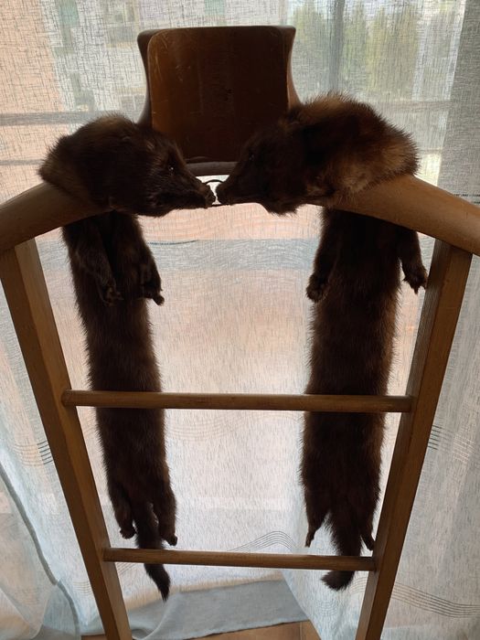 Estola pele de Marta cor Castanho