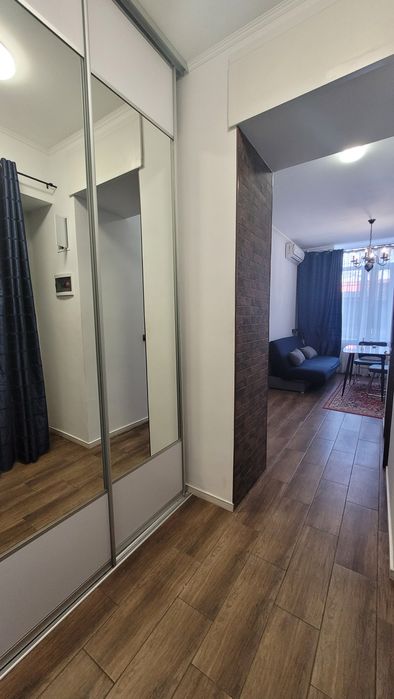 1 комнатная квартира, Центр / Ул. Софиевская