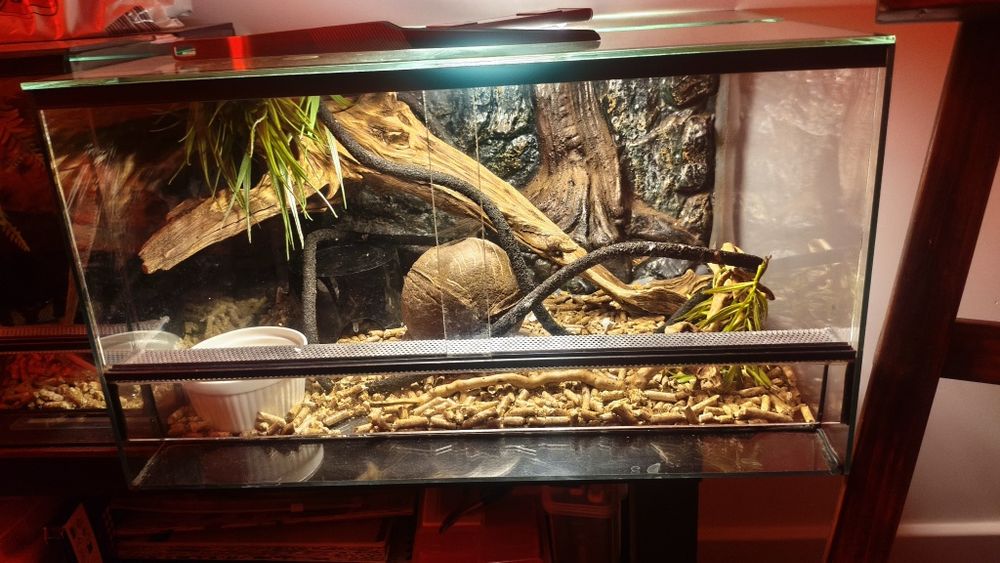 Terrarium po wężu 40x50x30 wysokości