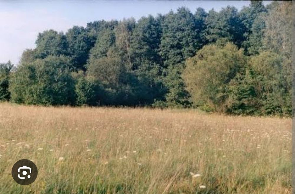 Siano za darmo w zamian za skoszenie łąki