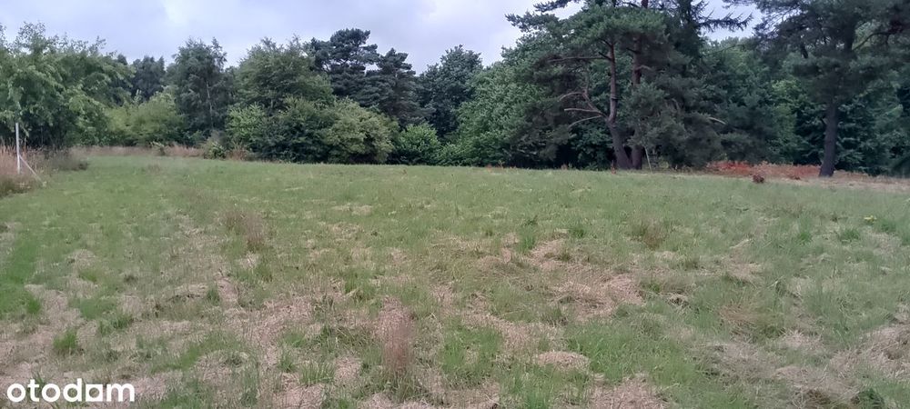 Działka budowlana nad morzem Władysławowo