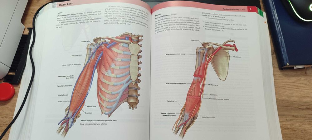 терміново. продам Підручник анатомія Грея. Gray’s anatomy
