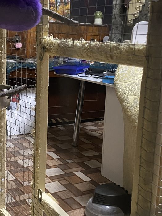 Клетка для попугаев