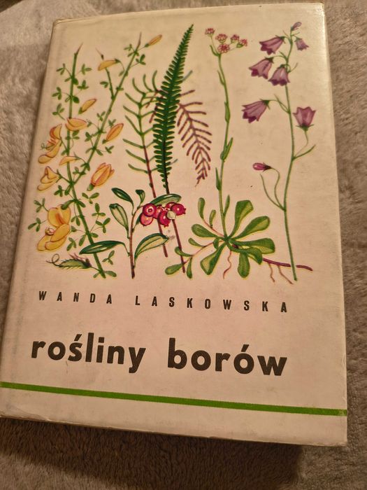 Kwiaty, Rośliny doniczkowe, Rośliny borów