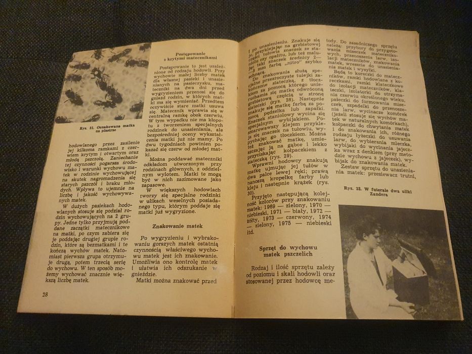 Wychów matek pszczelich 1969 T. Wawryn