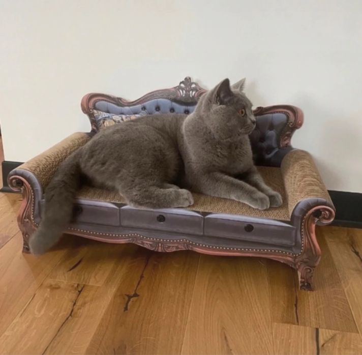 Drapak kartonowy sofa dla kota 2w1 legowisko i drapak 57,5 cm