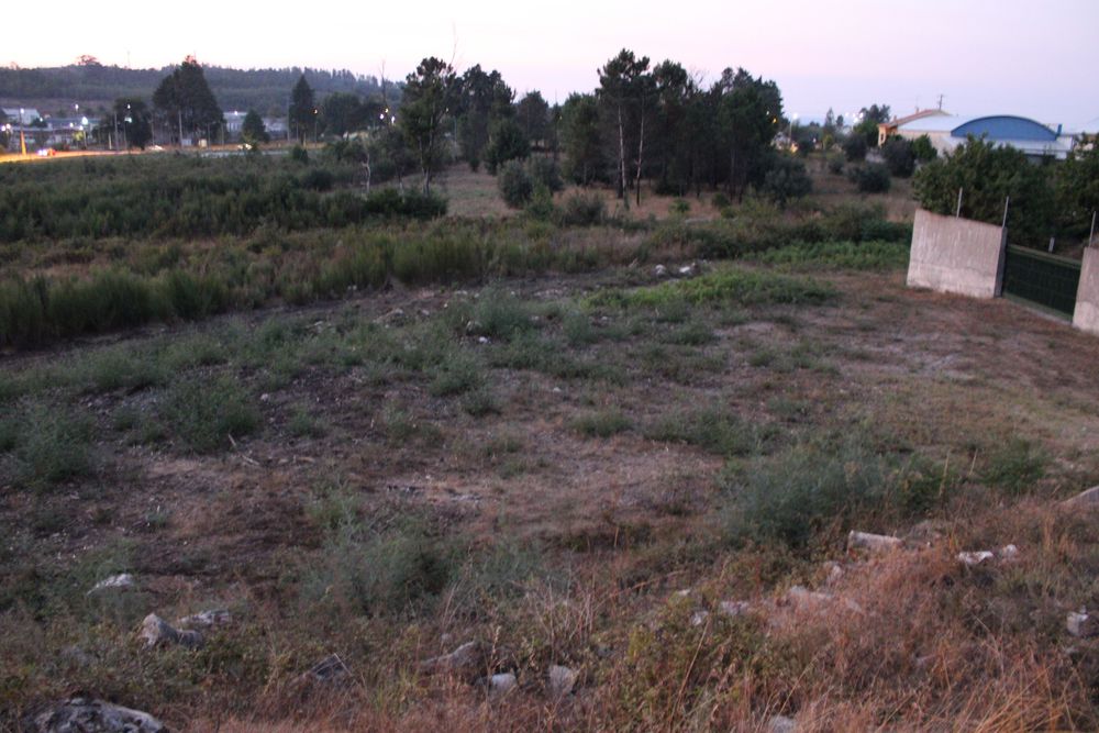 Lote 1220 m² Almeidinha – para construção, perto do centro de Mangualde