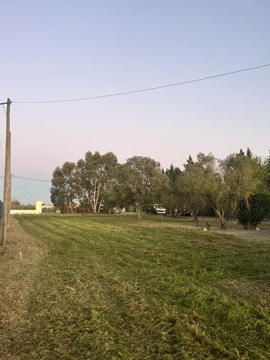 Limpeza e manutenção de terrenos Cuidamos do seu espaço verde