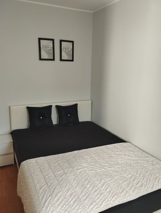 Przytulne mieszkanie do wynajęcia od zaraz