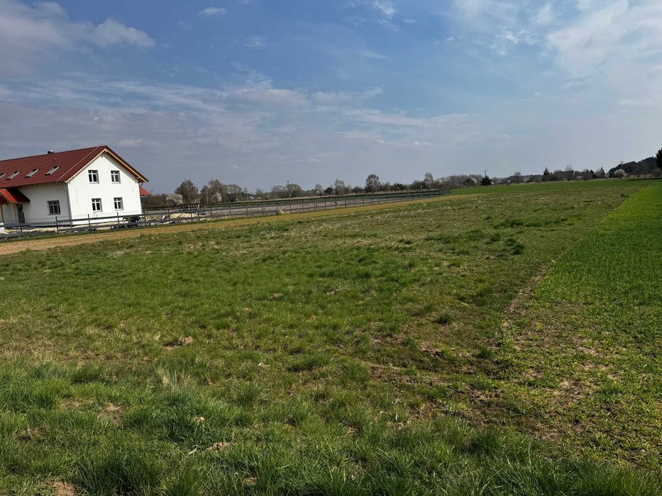 Działka Szczedrzyk - BUDOWLANA - Sprzedam . Działka okolica Turawa . Sprzedam działkę . Blisko Jeziora , Las. - Widok 2