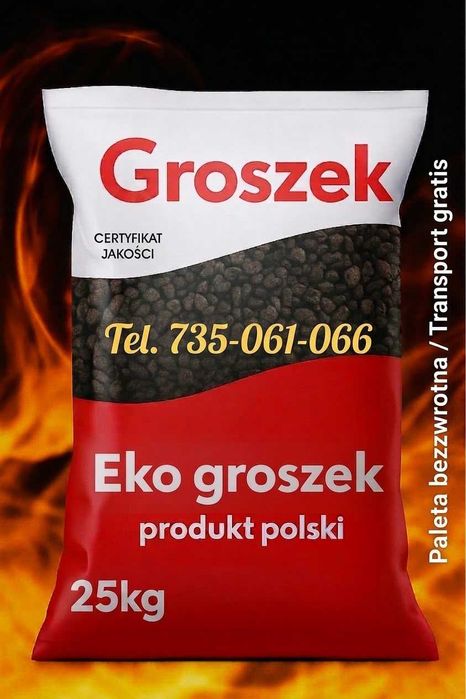 POLSKI GROSZEK  26-28MJ - Transport Gratis ! Certyfikat Jakości !