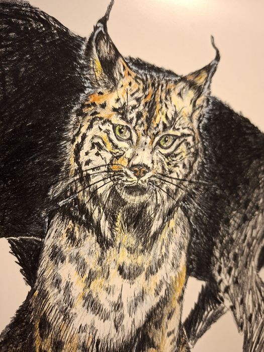 Poster Lince Ibérico