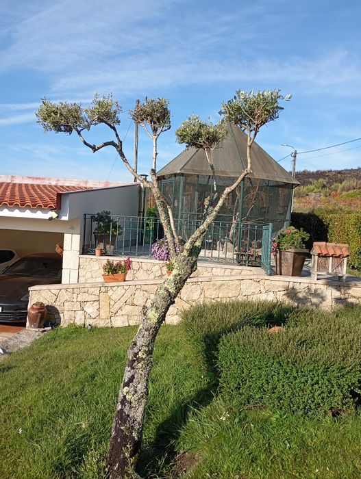 Prestação de serviços