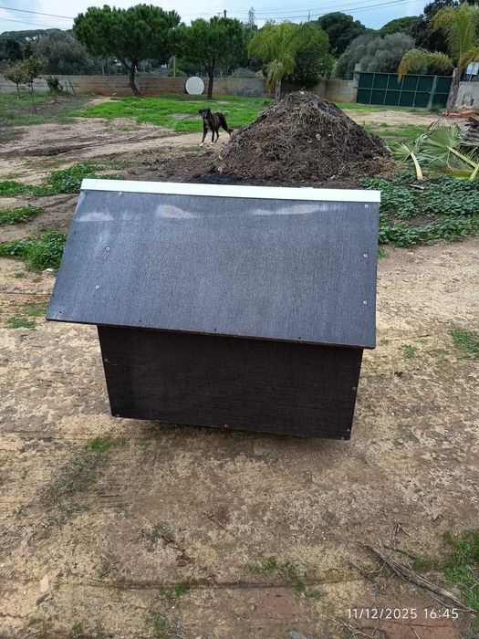 Casotas para  CÃO (02)