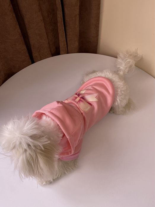 Худі для собаки/кофта для собаки