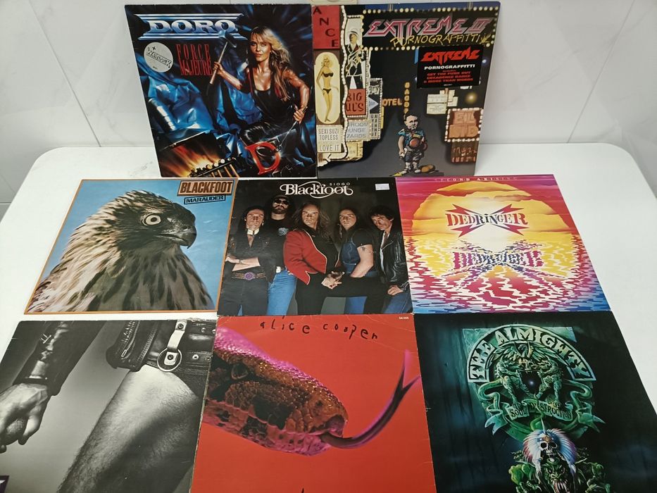 HEAVY METAL / HARD ROCK: os MELHORES grupos, DEZENAS de albuns (vinis)