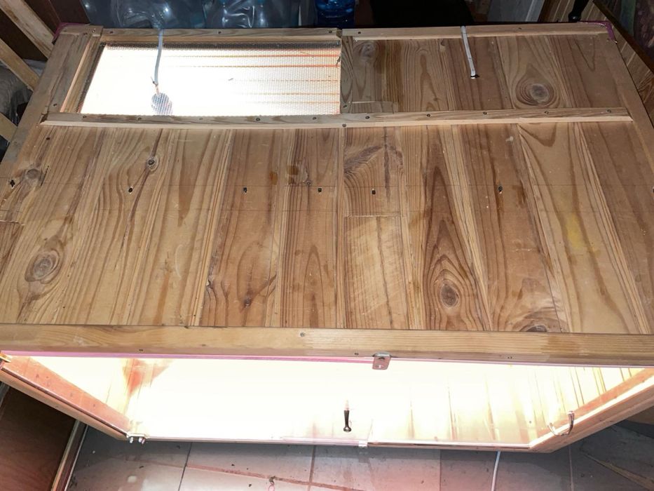 Терариум (самодельный)