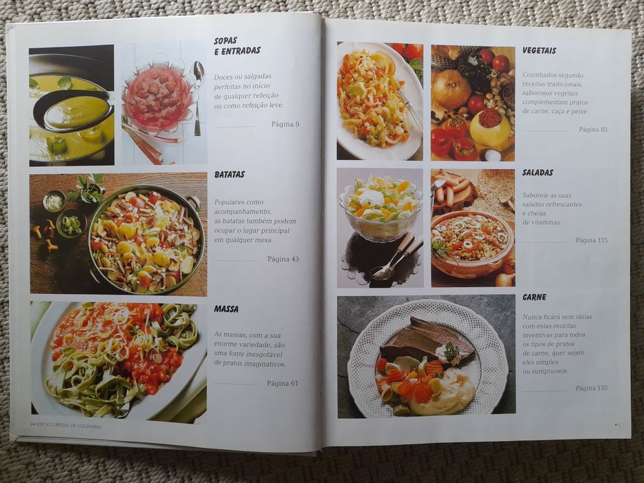 A Enciclopédia de Culinária - 480 páginas