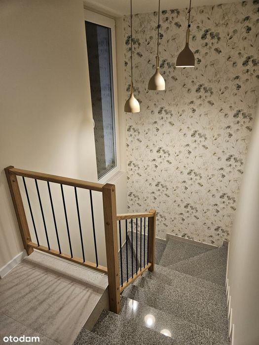 Zdjęcie 5