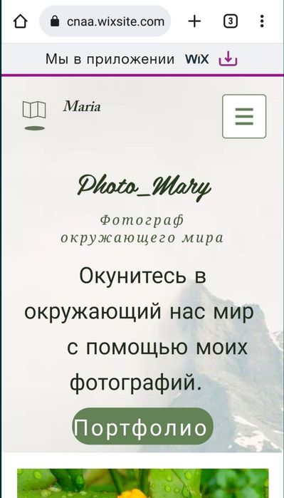 UI/UX дизайнер, веб - дизайнер, Wix, Викс - Проєктування та дизайн ...