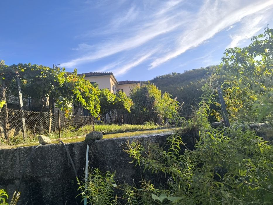 Quinta,Casa com terreno e água