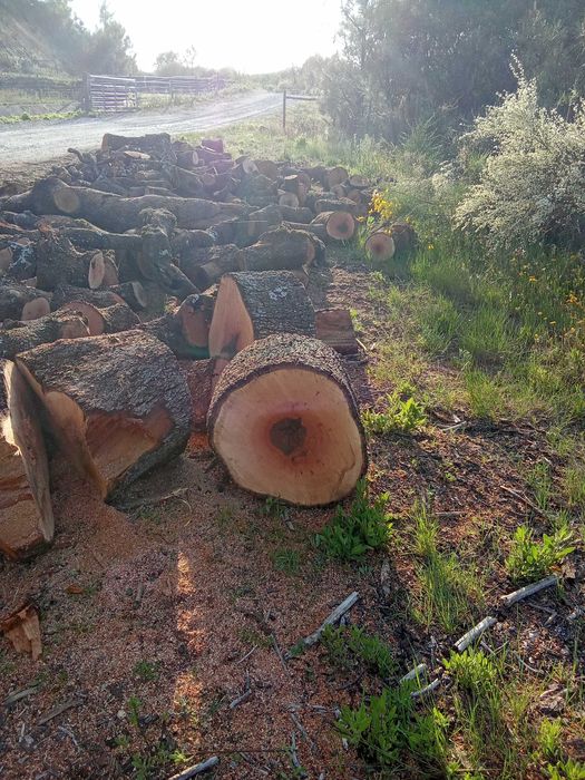 Lenha de Azinho & Outras