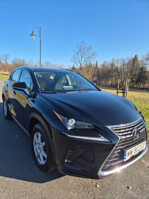 Lexus NX Lexus NX300h 2019 | Automat | AWD