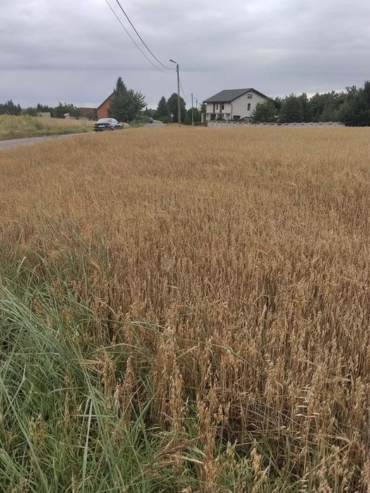 Działki budowlane, Osiek NOWA CENA