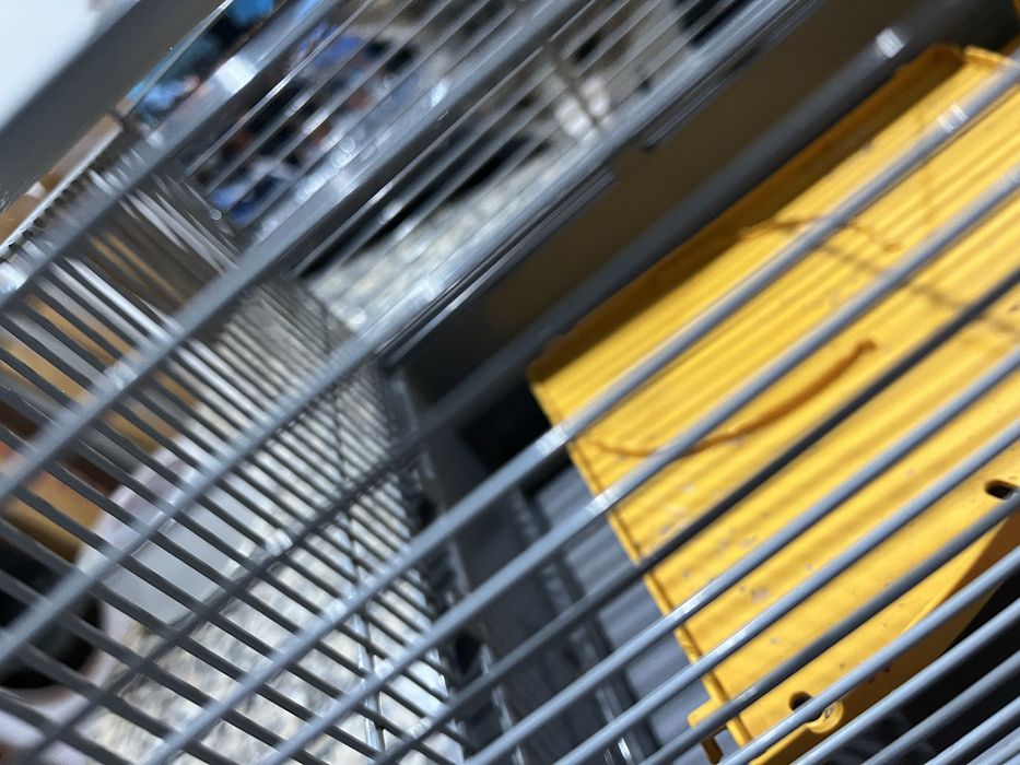 Gaiola para rato ou amster como nova