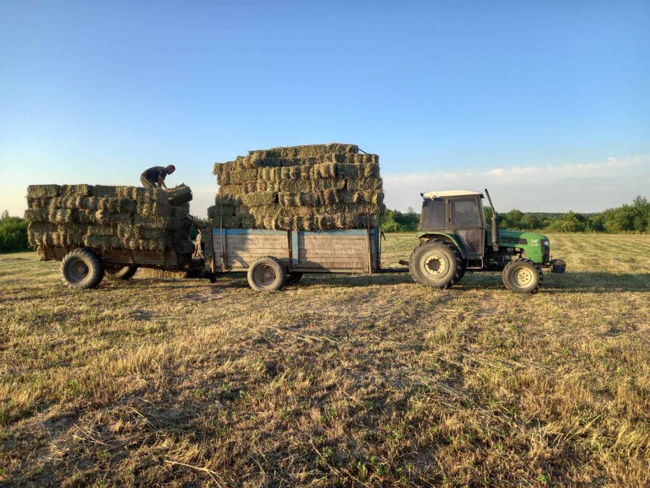 Сіно в тюках 2025 60грн.
